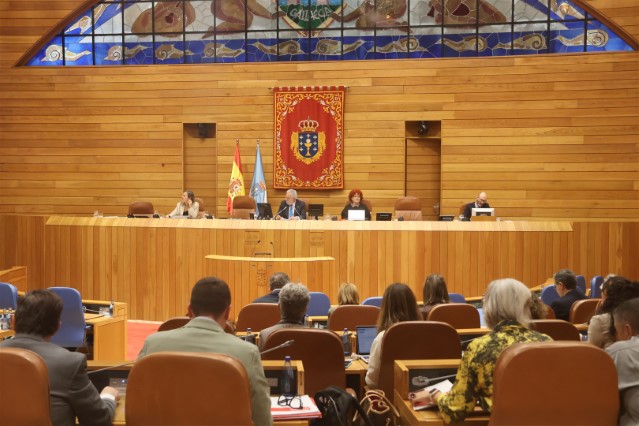 Declaración institucional do Parlamento de Galicia en apoio e solidariedade coas persoas defensoras dos dereitos humanos